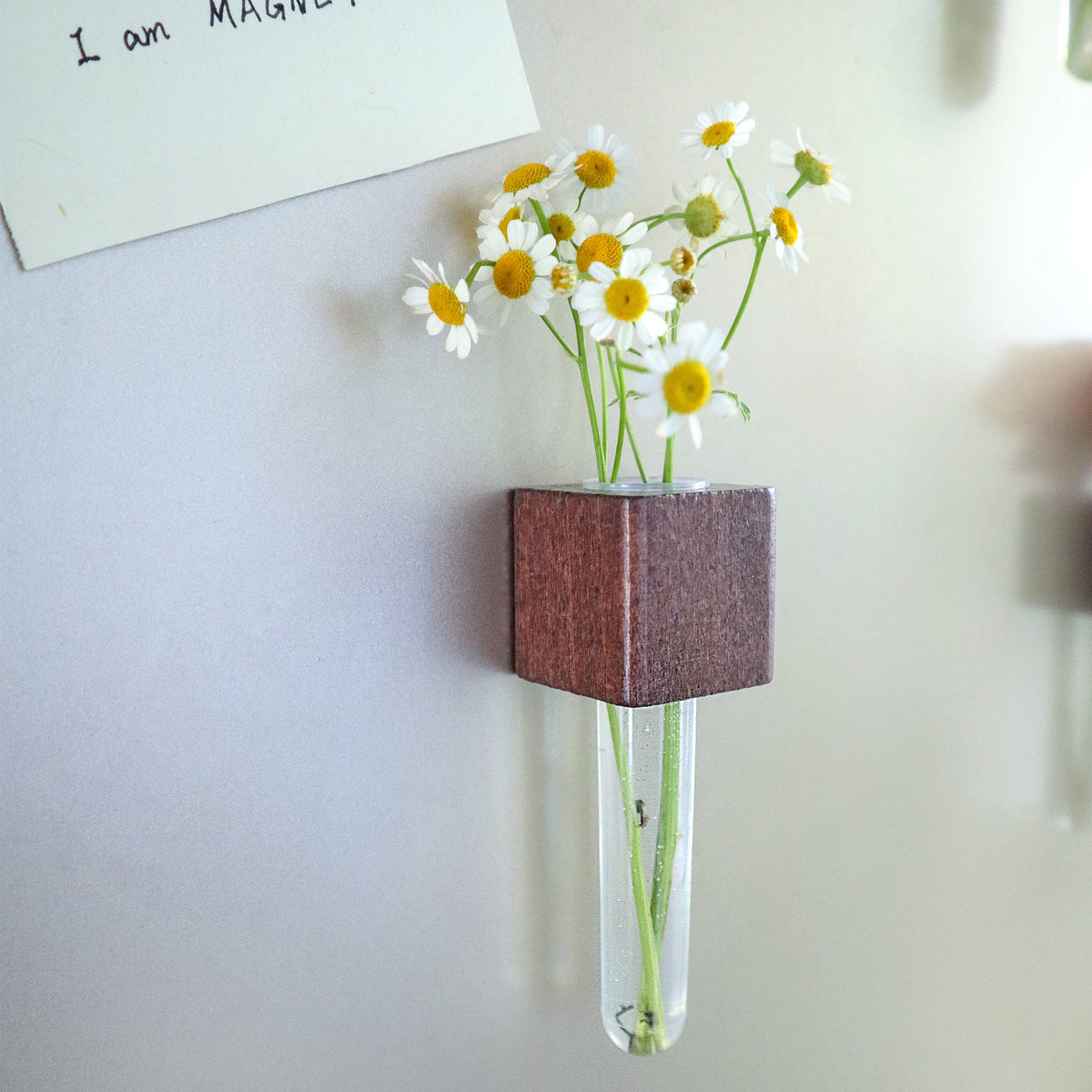 Wood Mini Vase Magnets – Set of 2