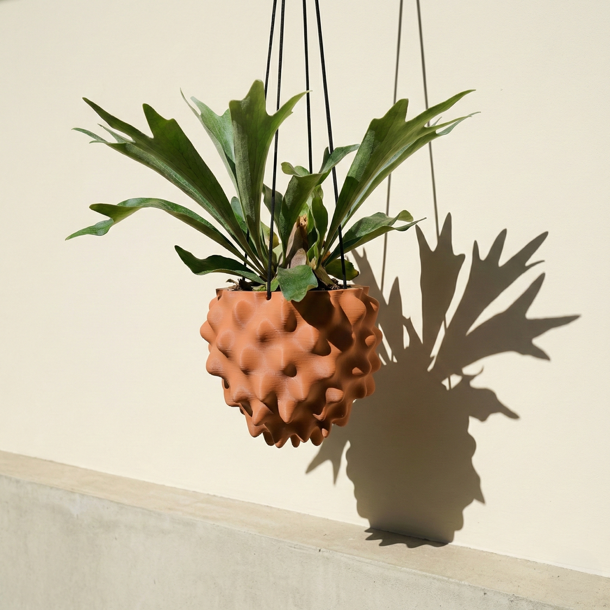 Sculptural Orb Hanging Planter