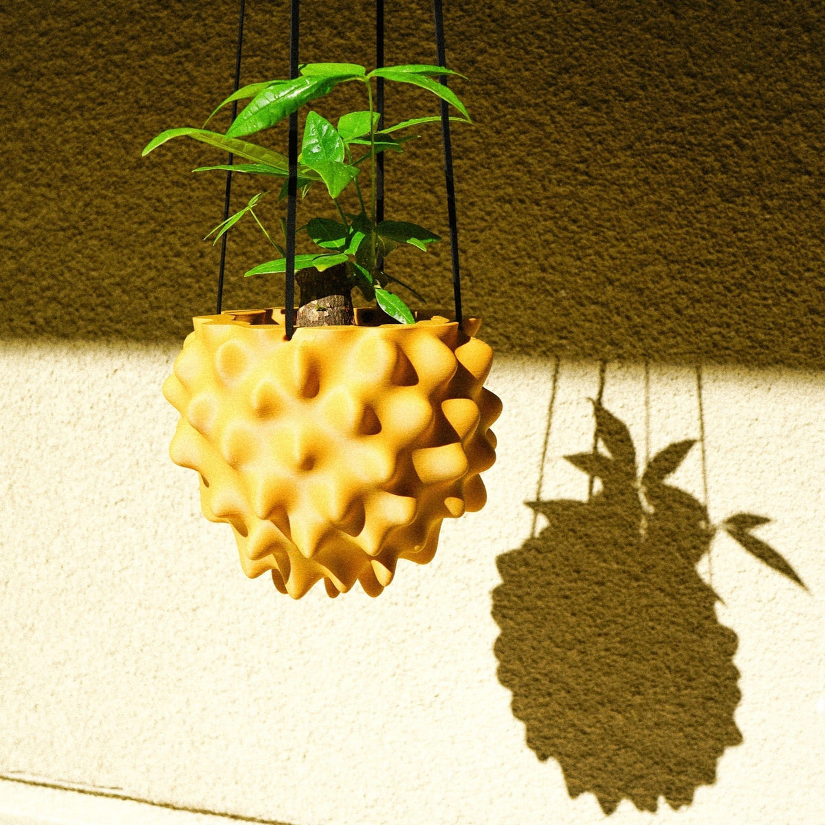 Sculptural Orb Hanging Planter