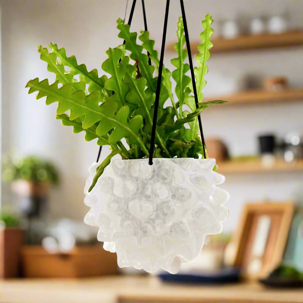 Sculptural Orb Hanging Planter