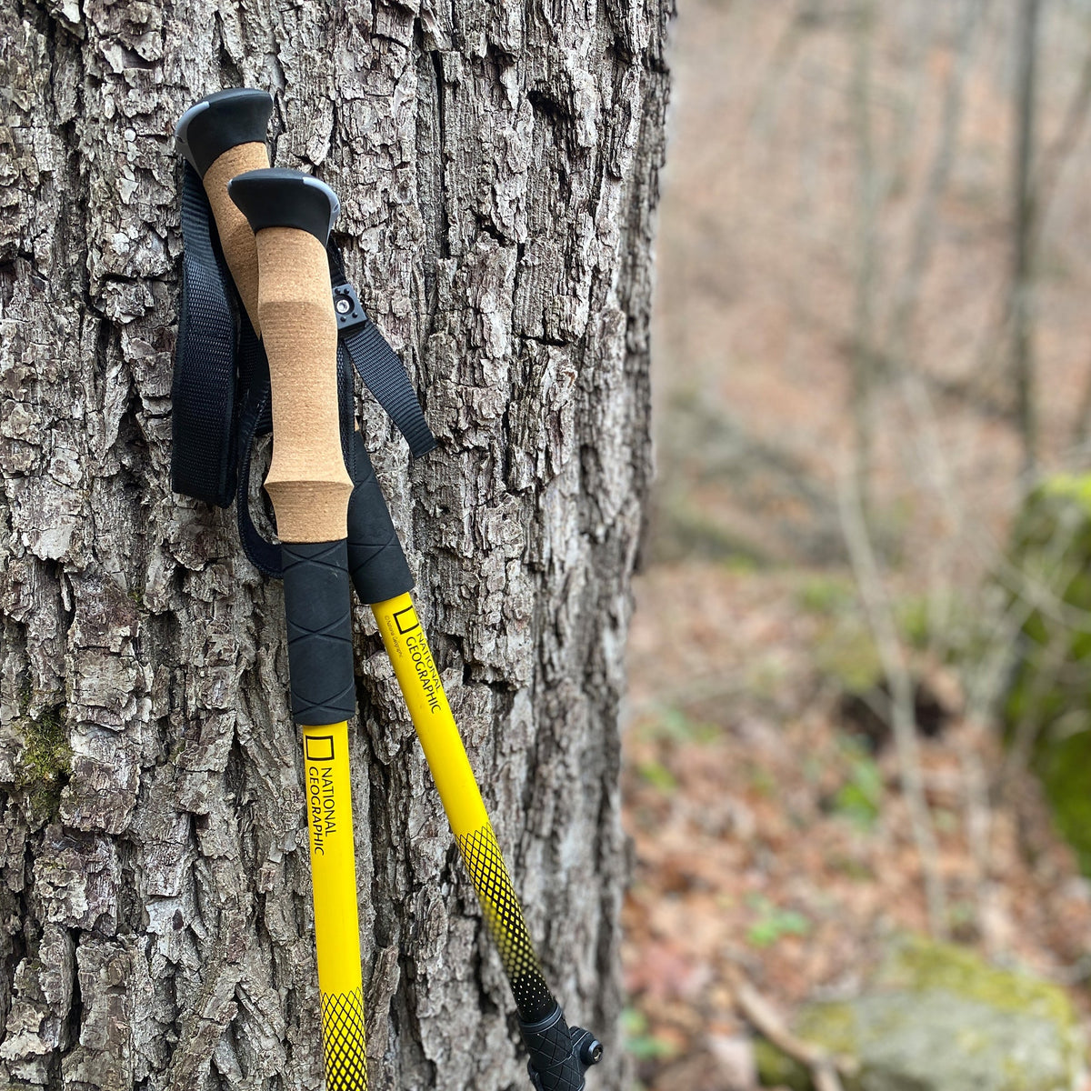 Adjustable Aluminum Trekking Poles – Set