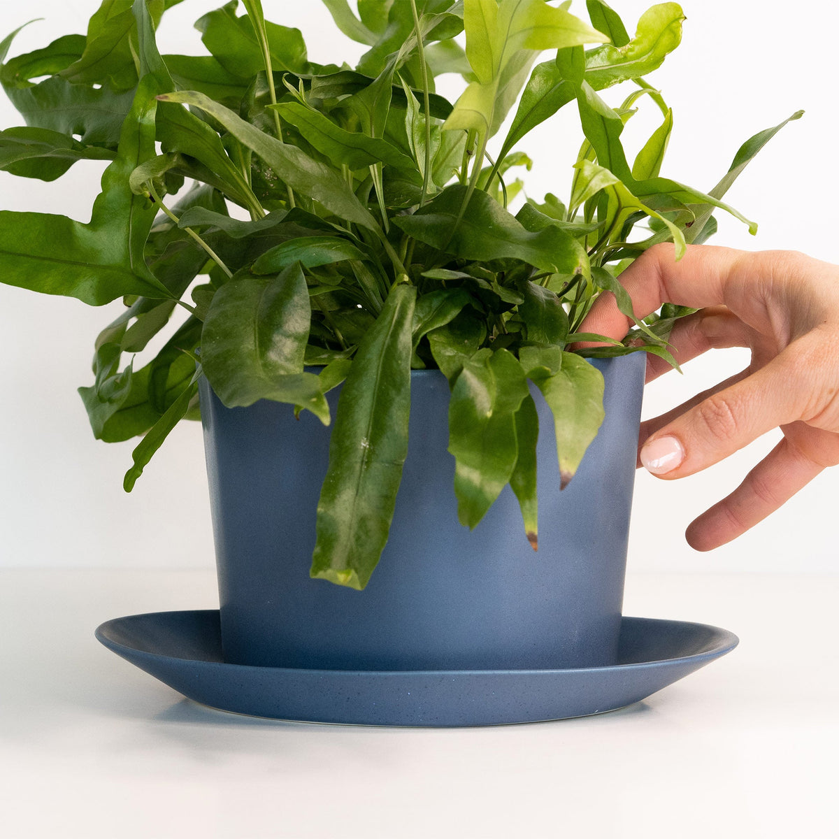 Handmade Oval Porcelain Planter