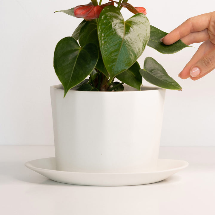 Handmade Oval Porcelain Planter