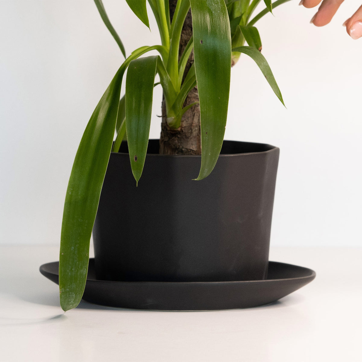 Handmade Oval Porcelain Planter