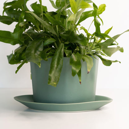 Handmade Oval Porcelain Planter