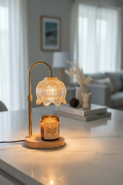Adjustable Candle & Simmer Pot Warmer Lamp